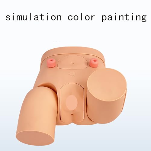 Katheterisatie klysma oefenpop model, PVC onderwijs simulator met afneembare onderdelen voor realistische urethra katheterisatie training - Afbeelding 3