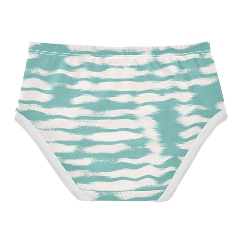 Panties Underwear Moisture Wicking Breathable Toddler Underwear for Girls in Sizes 2T,3T, 4T, 5T, 6Y and 8Y2