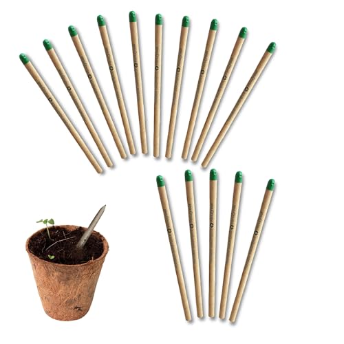 Image of Bombay Greens - 15 Plantable Seed Pencils- Bio degradable Eco-Friendly Stationery for Corporate Gifting | Sustainable Gifts with Seeds Pencils - Pack of 15