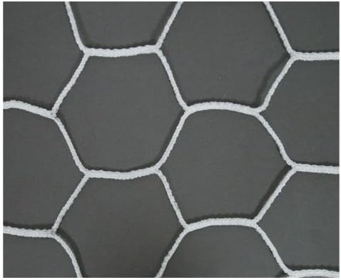 Hexagonal Soccer Net Pair