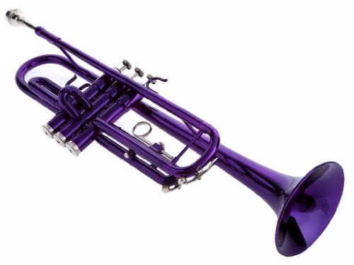 Hawk Wd-T314-Pl Bb Trumpet With Case And Mouthpiece, Purple #TOP1
