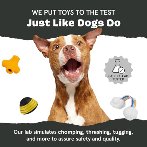 Image of BarkBox Sven The Hedgie Super Chewer Dog Toy - Large | Natural Rubber, Wacky Bounce & Rippled Texture | Durable Dog Toy for Aggressive Chewers, Medium to Dogs