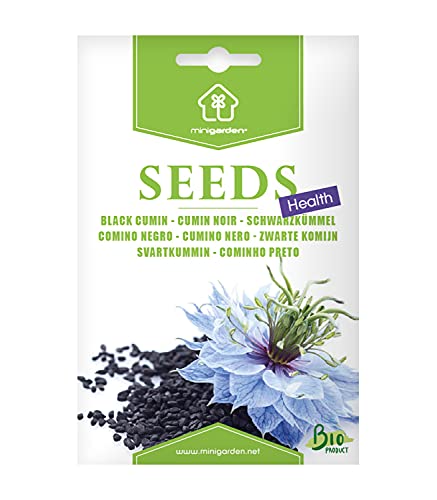 minigarden - Cumin Noir, Graines prêt à Pousser Minigarden, 100% Naturelles sans Propagateurs Chimiques ni Génie Génétique, inclut entre 200 et 250 graines