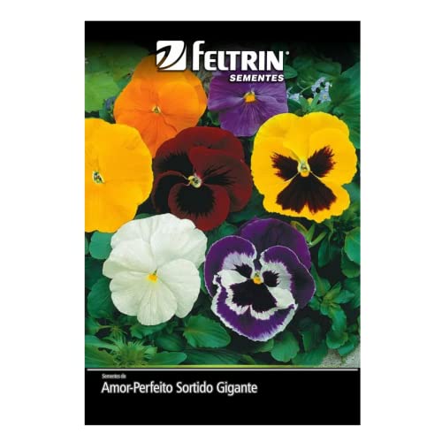 Kit 4 Sementes Flores Jardim Em Casa (Amor Perfeito, Tagetes, Boca de Leão, Zínia)