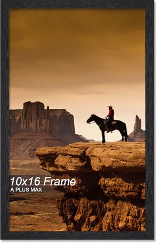 A PLUS MAX 10x16 Picture Frame Black Light Weight Wall Mount