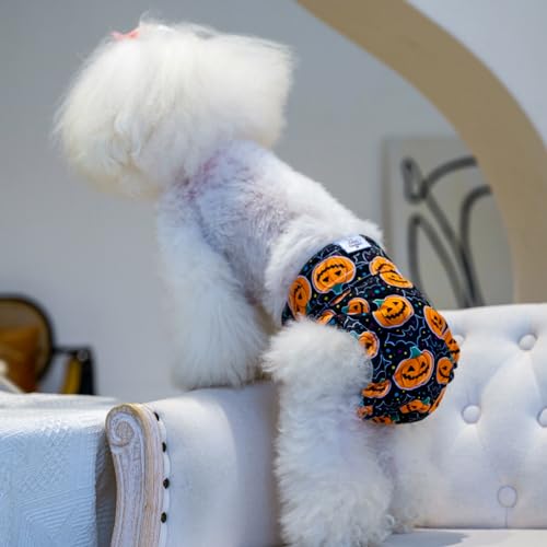 Image of CuteBone Washable Halloween Dog Diapers Female No Tail Hole 3 Pack Reusable Doggie Period Training Pants for Docked-Tail Frenchie French Bulldog Boston Terrier Without Tail WWD10L