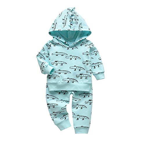 Image of Toddler Infant Baby Boy Clothes Animal Style Long Sleeve Hoodie Tops Sweatsuit Pants Outfit Set