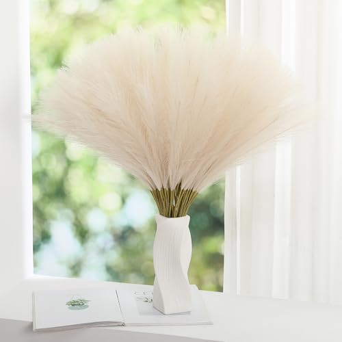 Wertuirk ppXOX - 24C` lH|vXOX V[glH|pXOX SVbN[fR[V  p[eB[ nEB z[fR[V (x[WA30s[X)