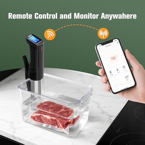 2.4g Wifi Sous Vide product image 2