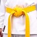 Deskium 4 Pcs Martial Arts Belts, Yellow Taekwondo Belt, 78.7 In, 2 Meters Cotton Belt, 1.6 In, 4 Cm Karate Beginner