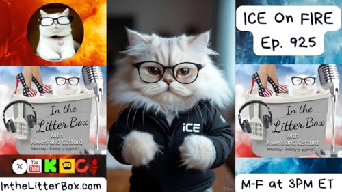 『ICE On FIRE | In the Litter Box w/ Jewels & Catturd – Ep. 925 – 11/18/2025』のカバーアート