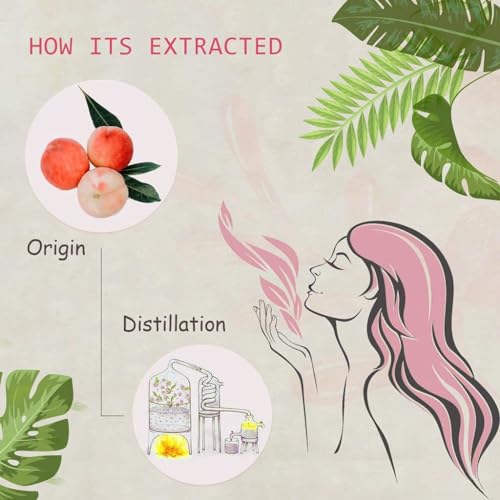 Aceite Esencial de Durazno 2-Pack 100% Puro Orgánico 2x10ML miniatura 2