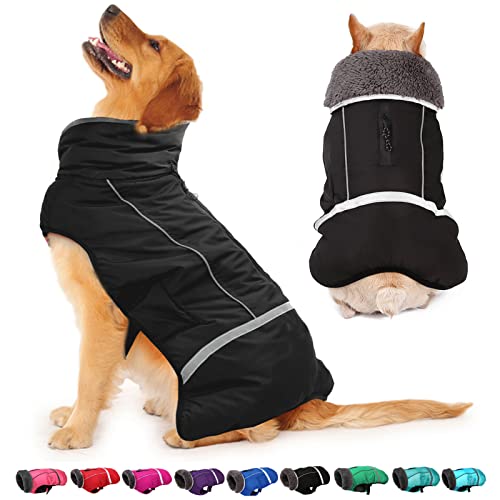 16 BudgetFriendly Dog Snowsuits UK Keep Your Pet Warm!