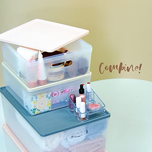 Caixa Organizadora com Tampa, Soul, Média, Cristal/Rosa, Protêa