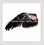 Black Bird White Sky