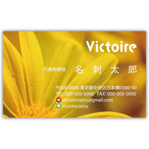 ���h�쐬 ���h��� �i�� 100�� �Ж� �t���J���[ �P�[�X�t No.2186