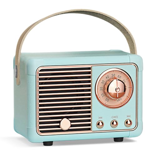 Altoparlante Bluetooth Retrò, Portatile Mini Altoparlante Wireless con Radio FM,