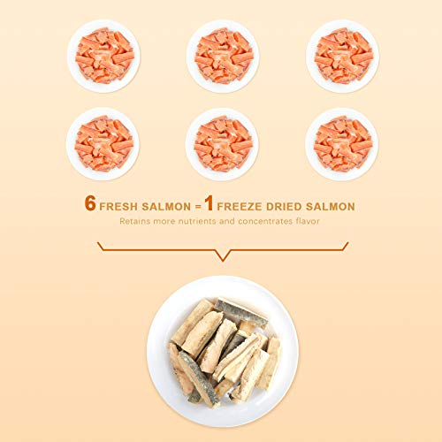 Jungle Calling Freeze Dried Dog and Cat Treats, Single Ingredient, High Protein for Small Dogs, 3.2oz (Salmon) - Image 5