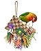 Bissap Bird Chew Toys, Parrot Foraging Shredder Natural Palm Frond Hanging Cage Toy for Small Medium Parrot Parakeet Conure Cockatiel Parrotlet Lovebird Budgie - Flat Square