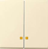 Gira Wippe Serienschalt. CWS/gl 063101 System 55 Abdeckung/Bedienelement für Installationsschalterprogramme 4010337631019