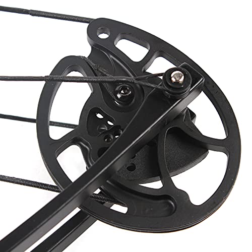 Archery Compound Bow And 12Pcs Arrows For Adults And Teens, Hunting Bow Youth Compound Bow Hunting Set, 30-60 Lbs Draw Weight, 24"-29.5" Draw Distance, Up To Ibo 310 Fps, Usa Stock #TOP5