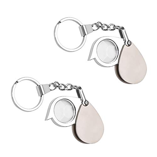 ISKYBOB 2 Pieces Portable Pocket 8X Folding Magnifier Key Chain Metal Reading Key