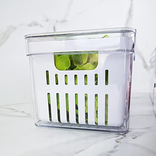 OU OF350NT Organizador de Geladeira com Escorredor Interno, 5 L - Caixa Plástica para Legumes, Salad