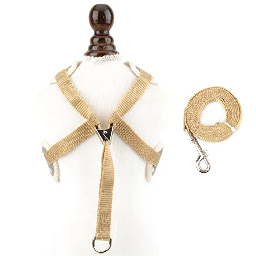 SMALLLEE_Lucky_Store Set di Pettorina e guinzaglio...