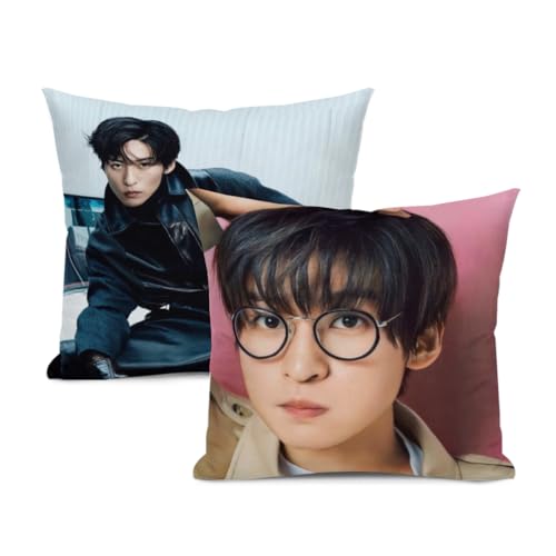 �N�b�V�����J�o�[ �ڍ�-�@ �߂���-��� 2���Z�b�g �������J�o�[ �\�t�@�[�p ������� �k�� ���z�c�J�o�[ �߂� �A�C�h�� �̎� �o�D �i50x50cm�j