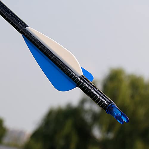 The7boX 12pcs 31’’ Archery Fiberglass Arrows Spine 500 Adjustable Nock with Replacement Screw-in Arrowheads for Target Practice Hunting Compound and Recurve Bow - Thumbnail 3