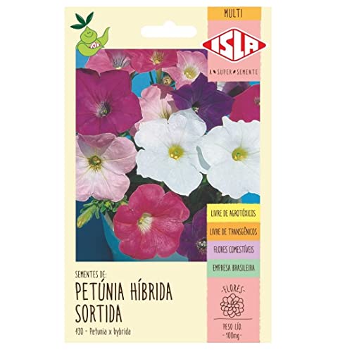 Kit Semente de Flores - Lavanda + Margarida + Onze Horas