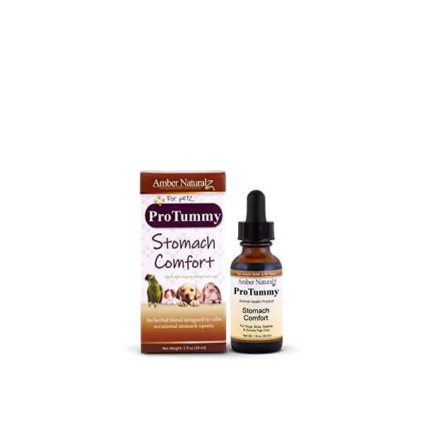 Amber Technology ProTummy Digestive Support for Pets, 1 Ounce Amber Technology ProTummy Digestive Support for Pets, 1 Ounce