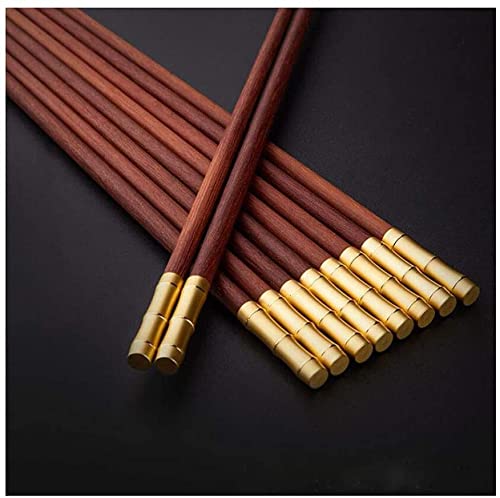  10 VZbg hEbNXsgp hEHގgp Mtg{bNX (D)