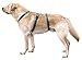 Kerbl Pet Panikgeschirr, Hundegeschirr, Petrol, Halsulmfang 30-41cm, Gurtbreite 15mm, für ängstliche Hunde, robust, verstellbar