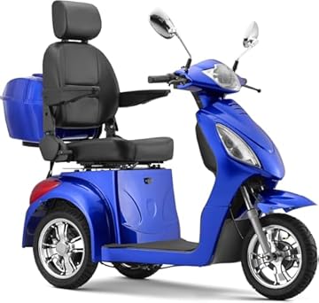 three wheel gas scooters