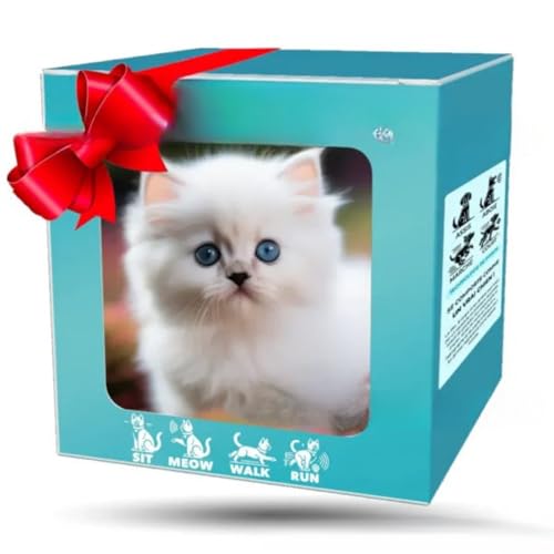 Qztuory 2025NX}[g{bgAAȃ{bĝA{̌̂悤ɓ - AiAKUAqƑl̃NGCeBuV~[Vybgʂ (H)