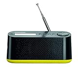 grundig radiowecker sonoclock UKW-RDS und DAB+ Empfang mit jeweils 10 Stationsspeicher.