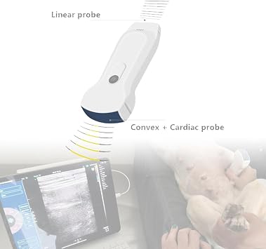 Veterinary Handheld Ultrasound Convex & Linear Dual Probes Wireless Color Doppler Ultrasound Work with Android iOS Windows Device for Cat, Dog, Small Animals