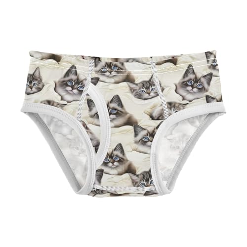 ODAWA Cute Kittens Cream Tag Free Cotton Underwear, Toddler Boy Underwear 2T