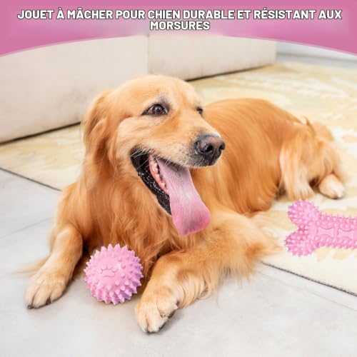 KOMEIYL 5pcs Jouets à Mâcher pour Chiots, Jouet Interactif Chien, Jouet de Dentition pour Chien avec Cordes, Soulage Efficacement Douleur L'inconfort Causés Gencives Enflées (Rose) – vue 2
