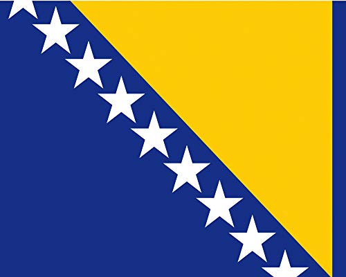 1art1 Bosnie-Herzegovine Poster Drapeaux du Monde Affiche Murale 50x40 cm