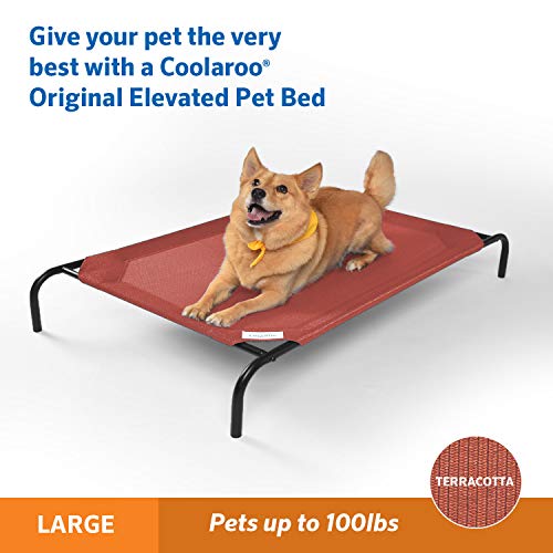 Image of Coolaroo Original Elevated Dog Bed - Breathable Off-The-Ground Pet Bed with Cooling Fabric, Joint Relief & Moisture-Resistant Fabric, 100% Recyclable, Easy Clean, Terracotta, Large