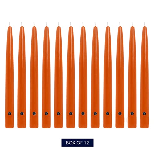 Image of Colonial Candle Unscented Taper Candle, Handipt Collection, Pumpkin, 12 in, Pack of 12 - Up to 10 Hours Burn