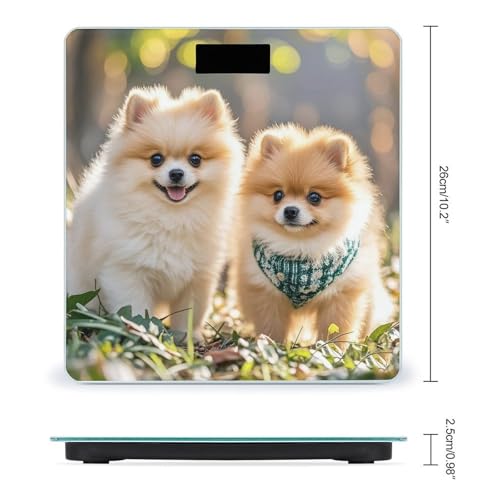 Báscula digital para baño Pomeranian Puppies miniatura 2