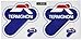 Ecoshirt NX-16BO-VRJB Pegatinas Stickers Termignoni Ref: R181 Aufkleber Autocollants Adesivi Moto GP Decals Motorcycle, 10X10 cm, Multicolor, 10 x 10 cm