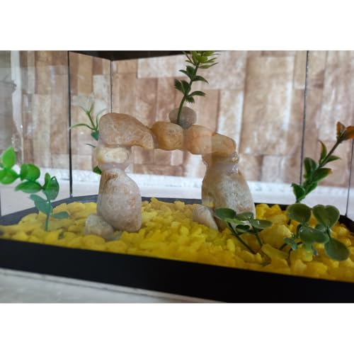 Aquario Beteira Oval Para Peixe Betta 3,0L (até a borda) Decorado Ornamentação Exclusiva