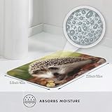 RLDOBOFE Doormat Hedgehog Front Door Mat Non-Slip Welcome Mats Washable Floor Mat Indoor Outdoor Entrance Mat Absorbent Guard Doormat for Kitchen Bedroom Bathroom Home Decor 16 x 24 Inch - Image 2