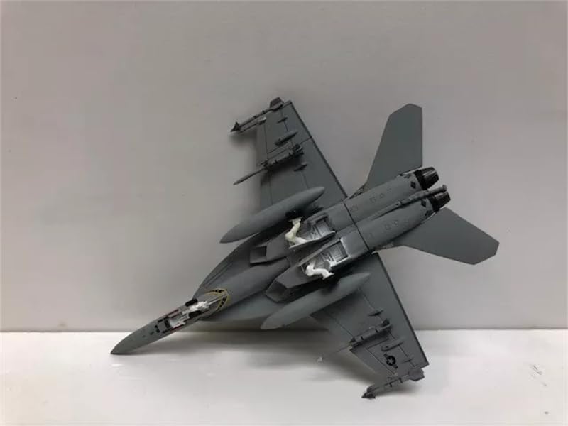 Amazon.com: ACE HOBBY for Hogan F/A-18F, for US Navy, VFA-103