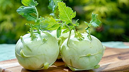 Golden Hills Farm Hybrid Kohlrabi Vegetable Seeds 500+ seeds (B096G8PL37) Amazon Price History, Amazon Price Tracker