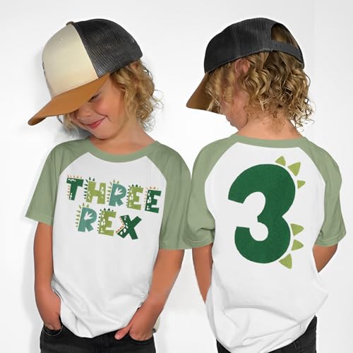 Dinosaur Birthday Shirt Toddler Boys T-Rex 2nd 3rd 4th Birthday T-Shirts Outfit Funny Dino Party Tee Tops2
